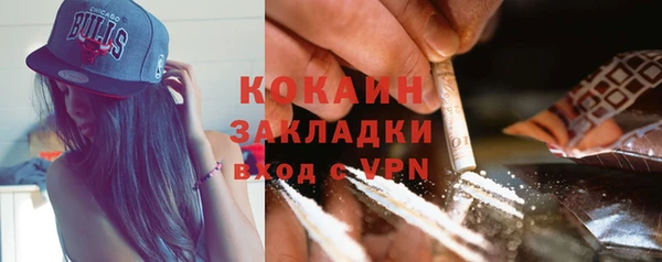 трава Сатка